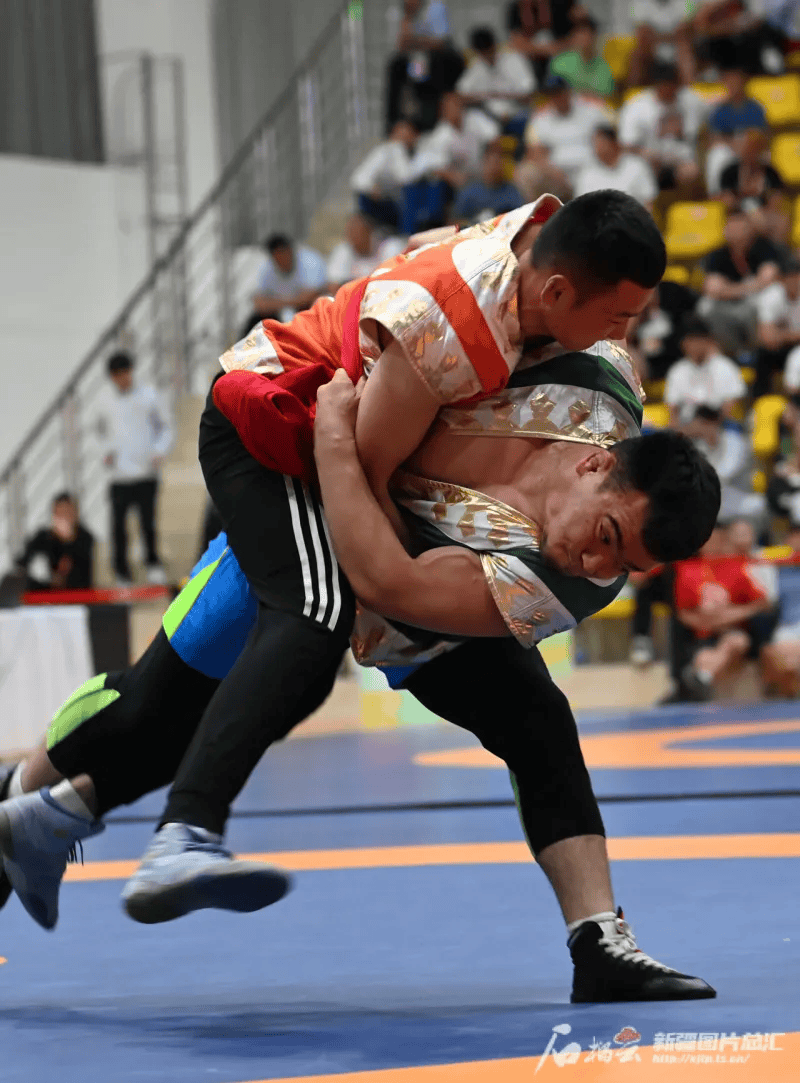 他们在比赛中展现出了顽强的战斗力的简单介绍