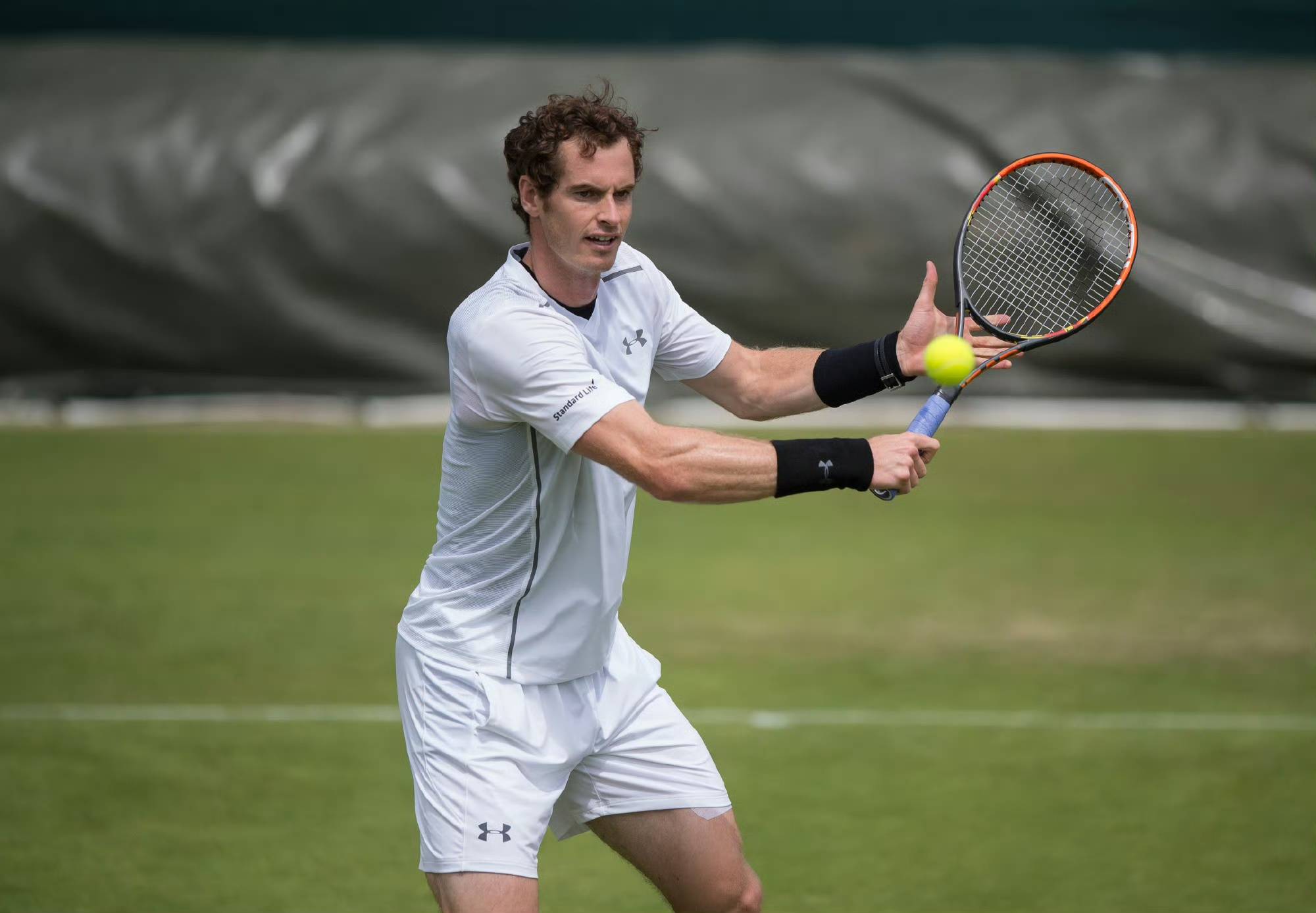 开云体育-温网横扫年终总决赛，穆雷关键制胜的简单介绍