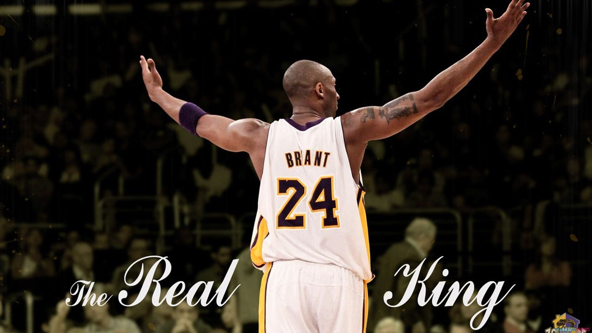 绝境中的领袖—许昕扛起全队，奥地利险胜法国的背后